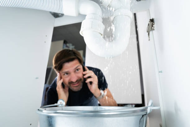 Best Plumbing Repair Near Me  in Homeland Park, SC