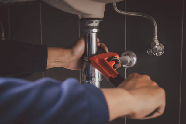 Best Clogged Drain Plumber  in Homeland Park, SC
